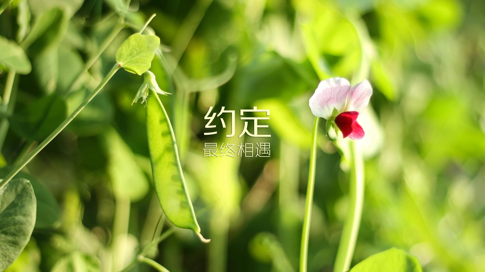 未来足球训练设施将引入虚拟现实技术，未来足球训练设施将引入虚拟现实技术吗