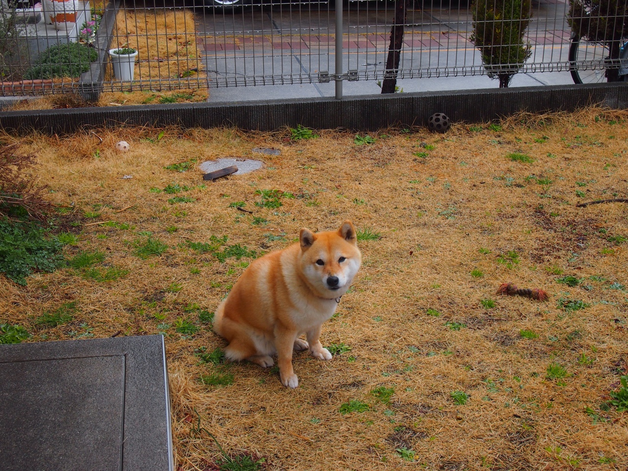 高校电竞联赛冠军诞生 战术与团队缺一不可,高校电竞联盟挑战赛全国总决赛